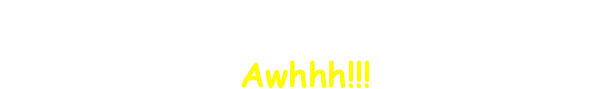 The Menagerie is again the place where
You'll find all the pets our customers call
Awhhh!!!