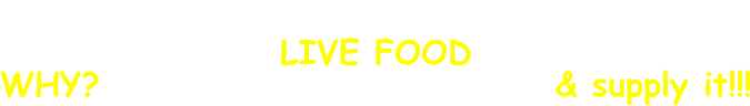 We are one of the Largest suppliers of
LIVE FOOD
WHY? - We know what's needed & supply it!!!