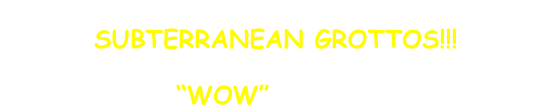 The 100+ vivariums at MP&A are set in
SUBTERRANEAN GROTTOS!!!
And contain the full repertoire of interesting
“WOW” Reptiles